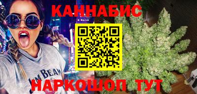 сатива Лесосибирск