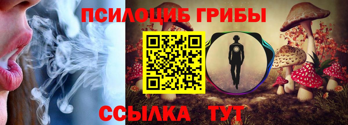 Галлюциногенные грибы прущие грибы  Вход с VPN  Камень-на-Оби 